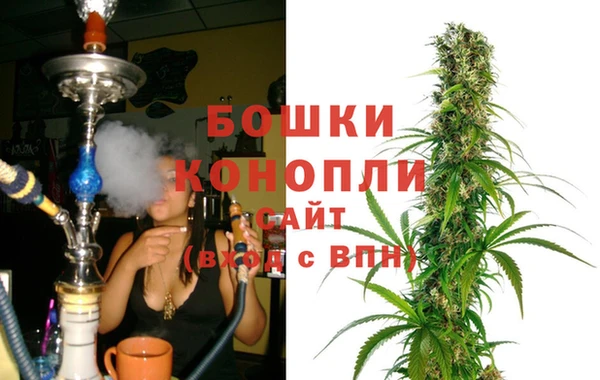 молекула духа Нягань