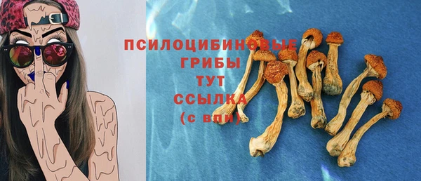 ECSTASY Алексеевка